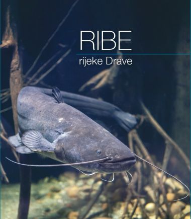 naslovnica_ribe_rijeke_drave.jpg