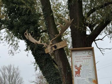 Prapovijesni park Erika 4.jpg