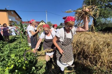 vz toplice-grescevina-zetva-biserna dolina 28.jpg
