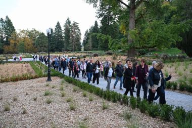Izlozba_arboretum 2.jpg