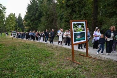 Izlozba_arboretum 30.jpg