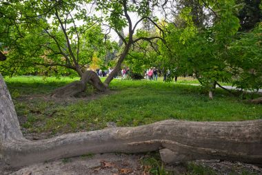 Izlozba_arboretum 32.jpg