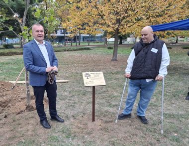 101026_drvo ivota transplantirani_1 6.jpg