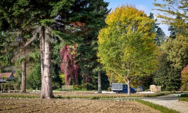 Arboretum_Opeka_obilazak 40.jpg