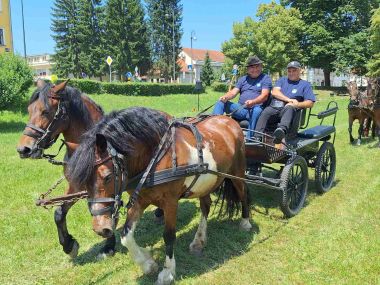 140625_dan kocija_3.jpg