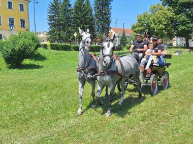140625_dan kocija_5.jpg