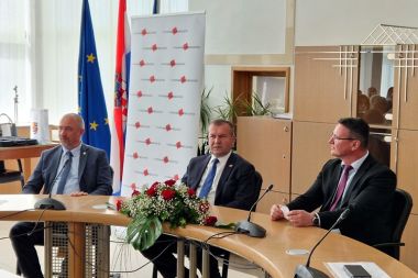 V upan Striak na strunom skupu u Slavonskom Brodu 10.jpg