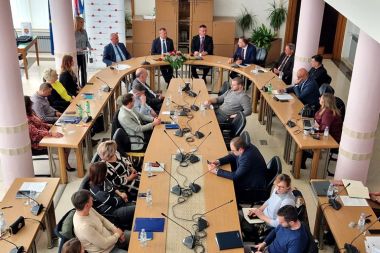 V upan Striak na strunom skupu u Slavonskom Brodu 2.jpg