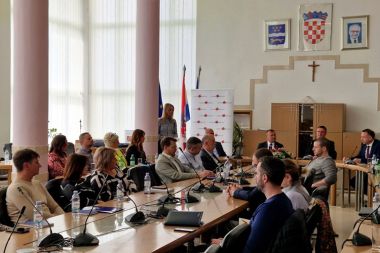 V upan Striak na strunom skupu u Slavonskom Brodu 3.jpg
