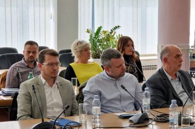 V upan Striak na strunom skupu u Slavonskom Brodu 5.jpg