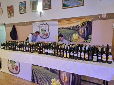 Izlozba vina Ludbreskog kraja 1.jpg