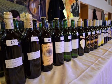 Izlozba vina Ludbreskog kraja 17.jpg
