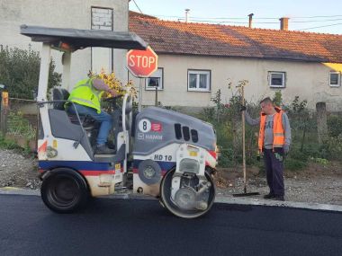 zuc_sveti petar_06.jpg