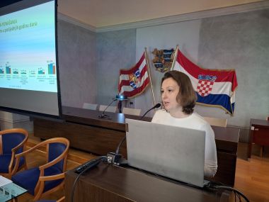 Predstavljanje rezultata mentalno zdravlje mladih 3  kopija.jpg