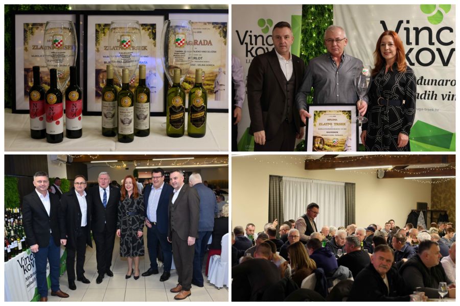 Rekordan broj vina i zlatnih medalja na 33. izložbi mladih vina u Ludbregu