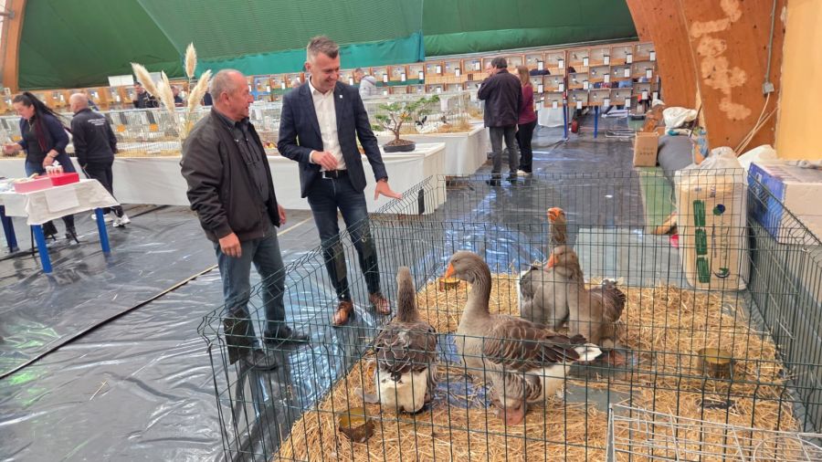 Vi&scaron;e od 1.000 malih životinja na međunarodnoj izložbi u Varaždinu
