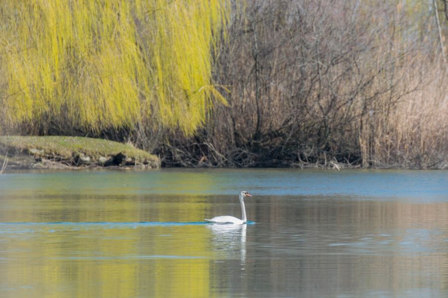 Obilježen Međunarodni dan rijeke Drave: Jedinstvenu rijeku moramo čuvati